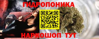 прущие грибы Будённовск