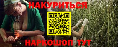 прущие грибы Будённовск