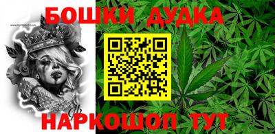 прущие грибы Будённовск