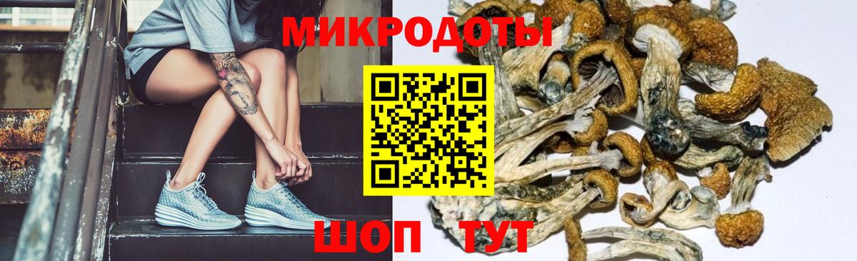 Псилоцибиновые грибы Cubensis Южноуральск